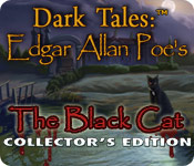 Dark Tales: Edgar Allan Poe's The Black Cat Collector's Edition