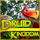 Druid Kingdom