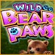 IGT Slots: Wild Bear Paws