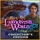 Labyrinths of the World: A Dangerous Game Collector's Edition