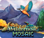 Wilderness Mosaic: Where the road takes me