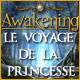 Awakening: Le Voyage de la Princesse