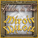 Hidden in Time: Miroir Miroir