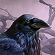 Mystère Solitaire : Le Corbeau noir 2