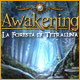 Awakening: La Foresta di Tetraluna