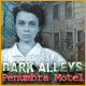 ダーク アリーズ：ペナンブラ・モーテルの悲劇