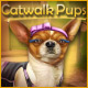 Catwalk Pups