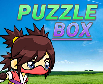 Puzzle Box